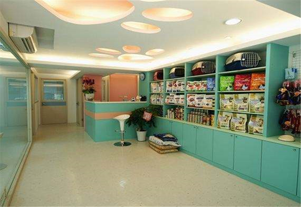 英短蓝猫咪刚来新家怎么办,新猫到家猫咪应激反应怎么解决