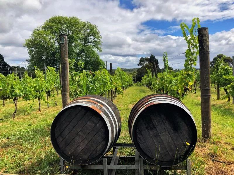 澳大利亚原瓶进口葡萄酒好吗,澳大利亚十大进口葡萄酒