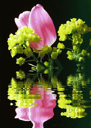 上高中的女儿该怎样沟通,上高中的女儿主动学习