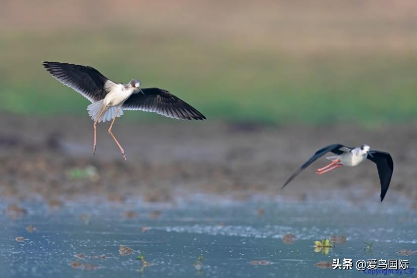 索尼selp1670镜头评测,索尼alpha9镜头