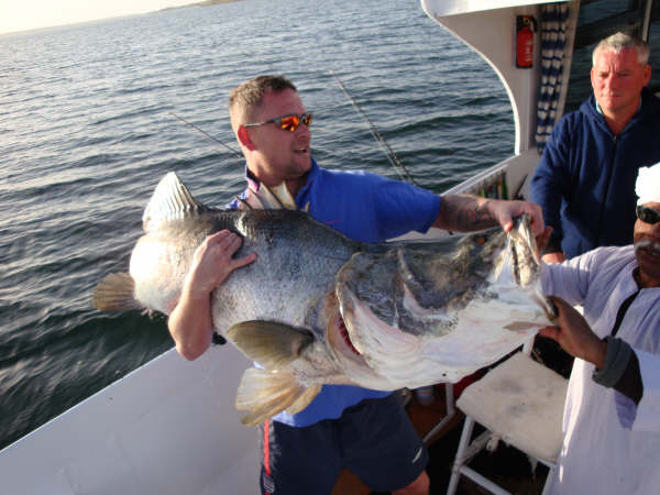 非洲维多利亚湖中泛滥的尼罗河鲈鱼都胖成球了,真的太嚣张了