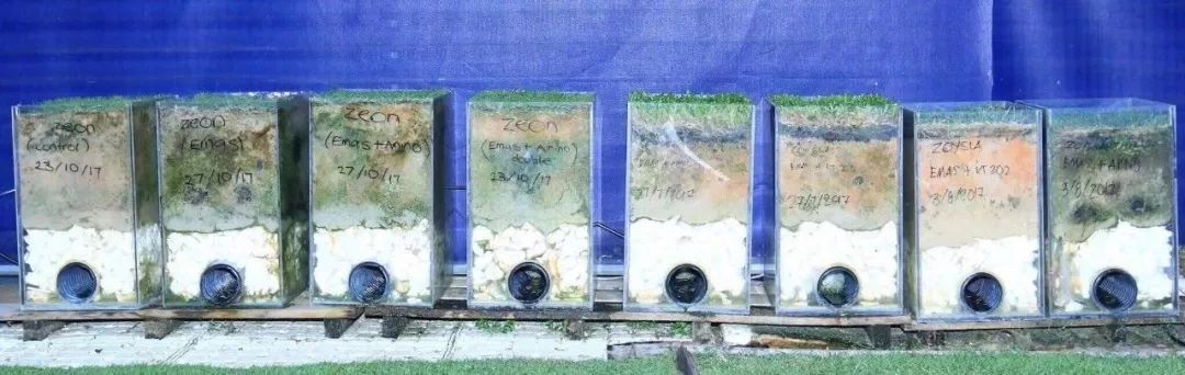 柔佛苏丹依布拉欣详细介绍,马来西亚苏丹依布拉欣