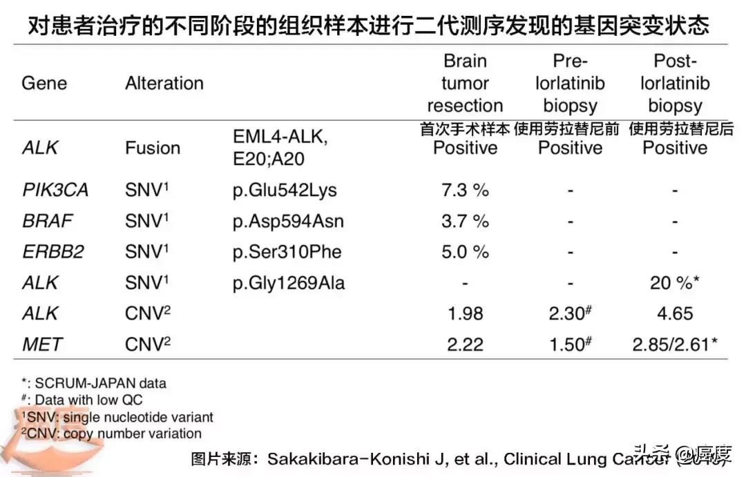劳拉替尼耐药吃回克唑替尼,劳拉替尼耐药后改服阿来替尼