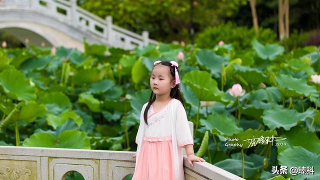 中国风女装复古气质改良汉服裙子,襦裙中国风汉服套装大码女装