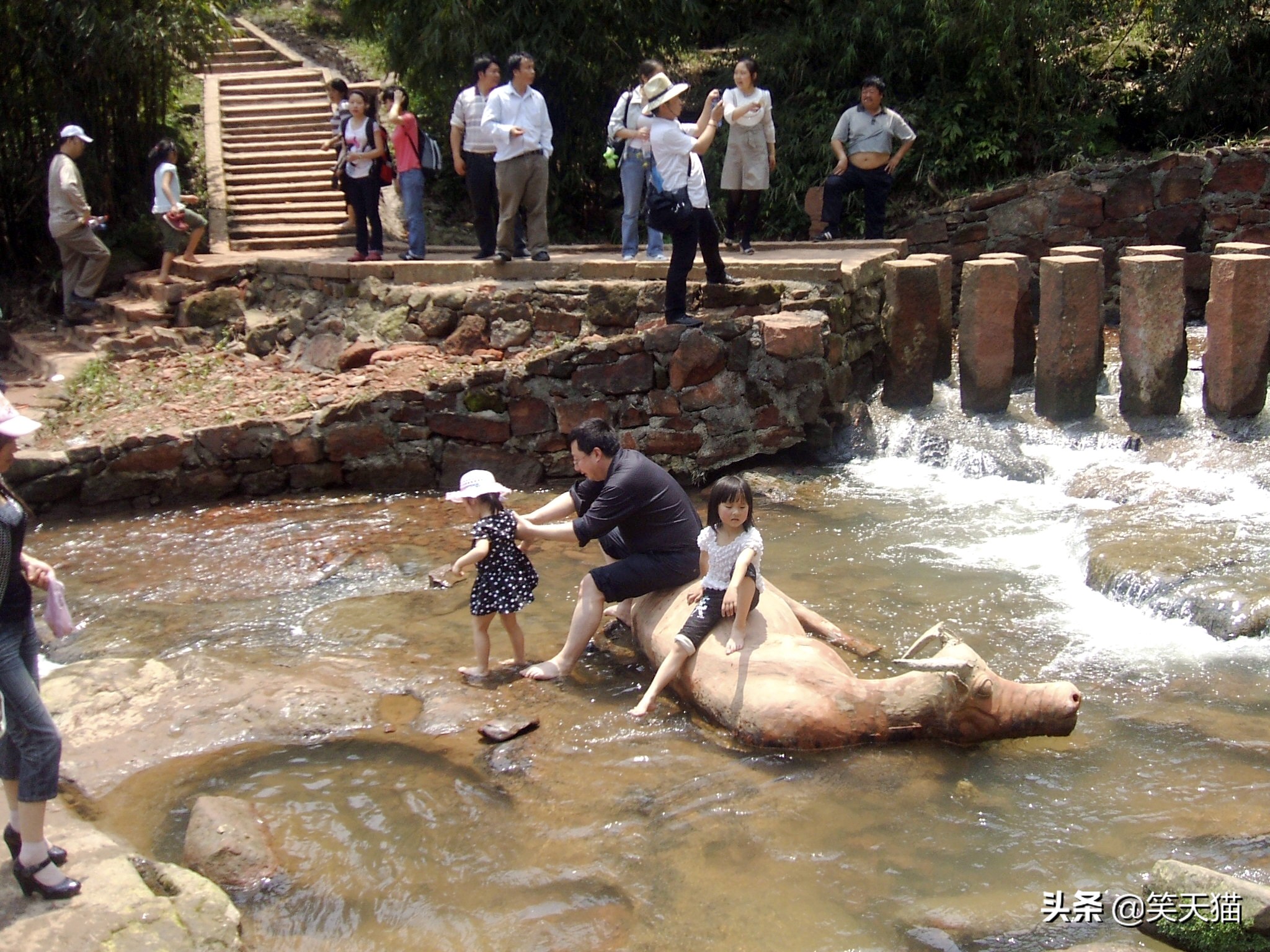四川宜宾竹海风景,宜宾蜀南竹海全视频