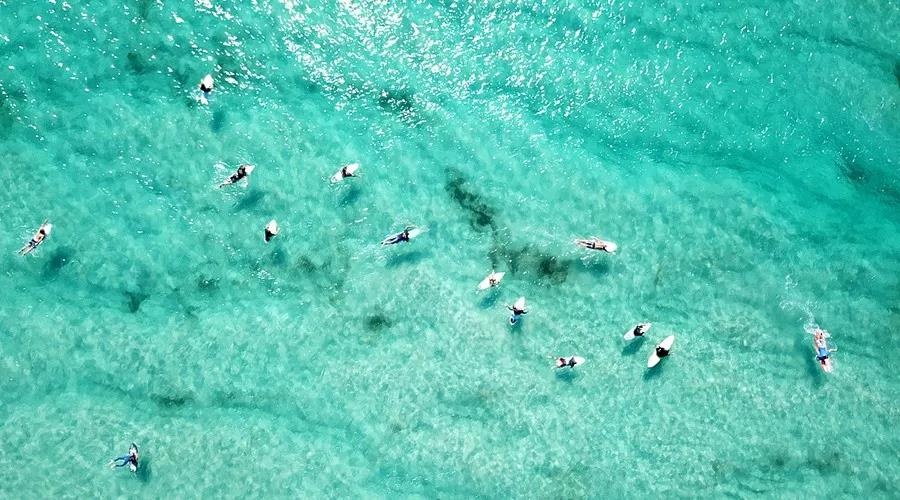 渔家女揭露海鲜市场黑幕,渔家女海鲜视频