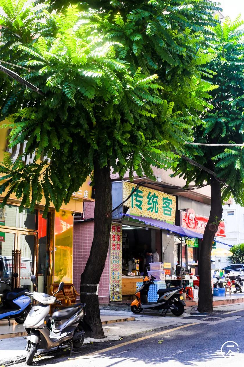 深圳“厂妹”村：租客月入4000，房租500