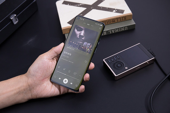 鍠滈┈鎷夐泤dac鑺墖濡備綍,hifiman鍠滈┈鎷夐泤