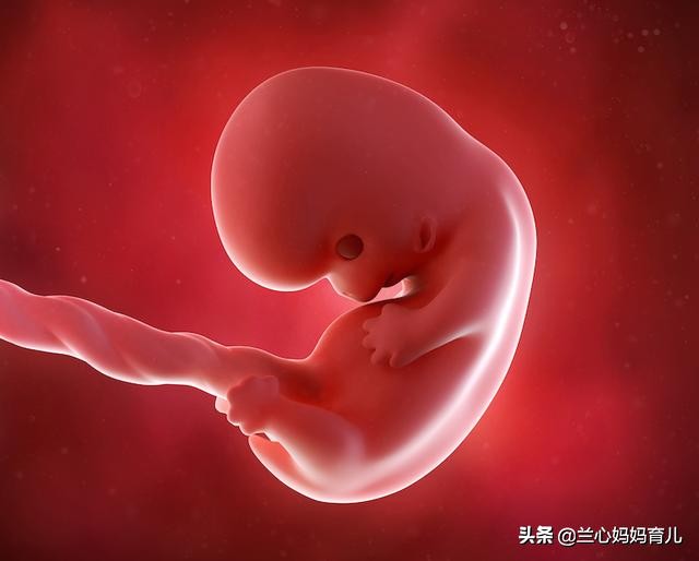 怀孕6周时，你的宝宝及你的身体会出现什么症状及变化？