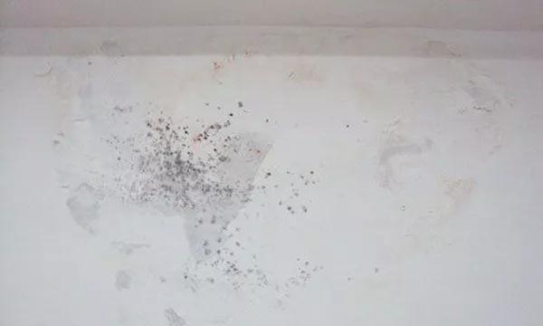 墙面起泡发霉了怎么处理,墙面发霉用什么消除剂最好