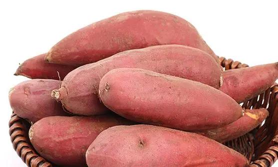 如何去电水壶水垢的方法,除电水壶厚水垢最简单的方法