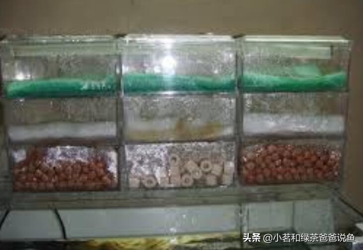 鱼缸上过滤系统和下过滤的区别,养观赏鱼的过滤方法视频教程全集
