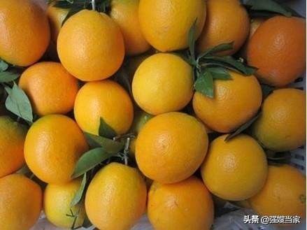 买冰糖柚,买冰糖甜橙