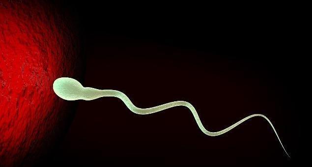 男性生育能力强弱,男性生育能力看什么指标