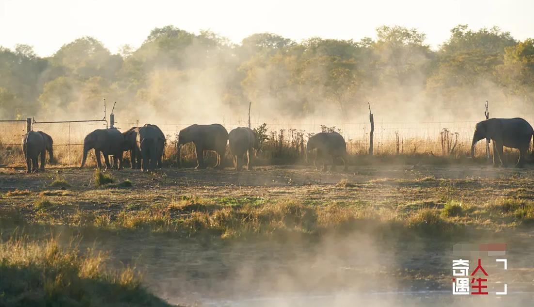 鏉ㄩ鍒橀洴,鍒橀洴鍜屾潹棰栫殑鍖哄埆