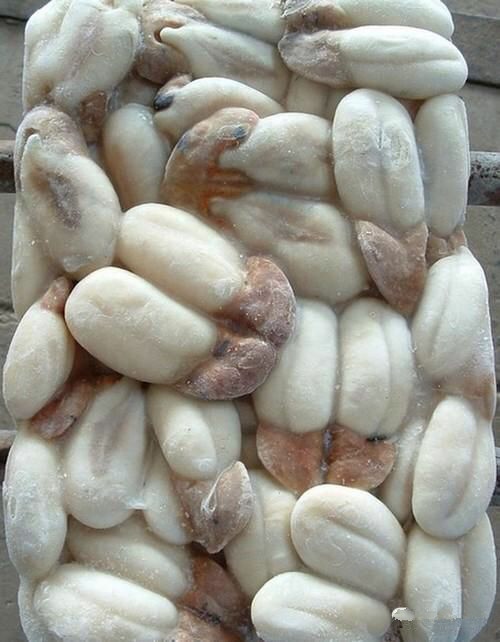 中国海鲜河鲜,市场河鲜海鲜种类大全