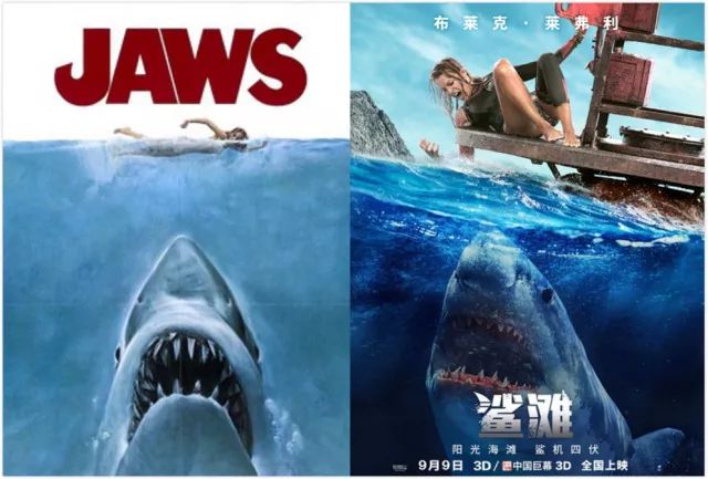 海洋中几乎无敌的大白鲨,真正的大白鲨和巨齿鲨的图片