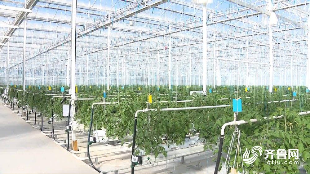 农贸市场食品安全公示栏,2020年食品安全示范城市名单