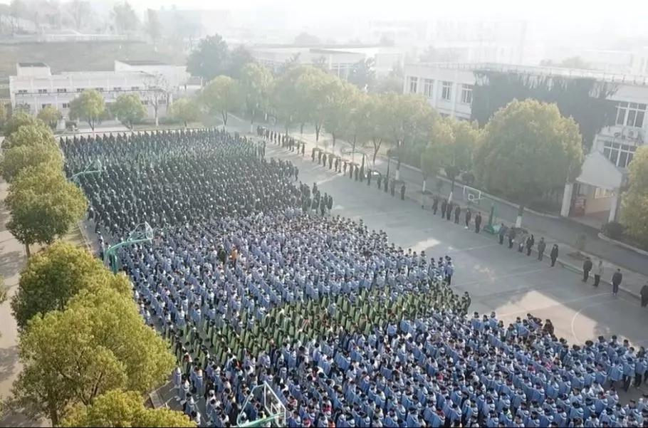 又双叒叕获奖啦,又双叒叕获奖合理吗