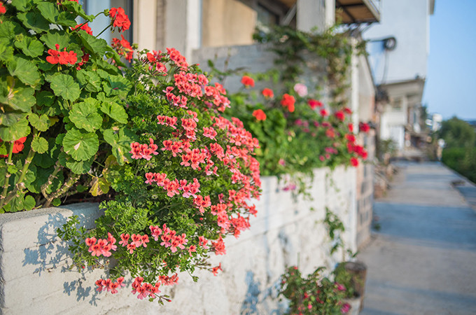 洱海旅游景点攻略,西安洱海旅游攻略必去景点