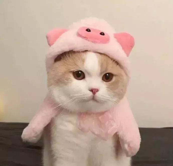 让李佳琦OMG的所有口红都在这里，究竟哪些值得买！