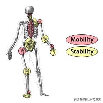 踝关节活动度的11种训练,踝关节灵活性训练教程