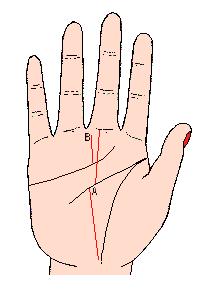 手相解密,手相掌纹分析学