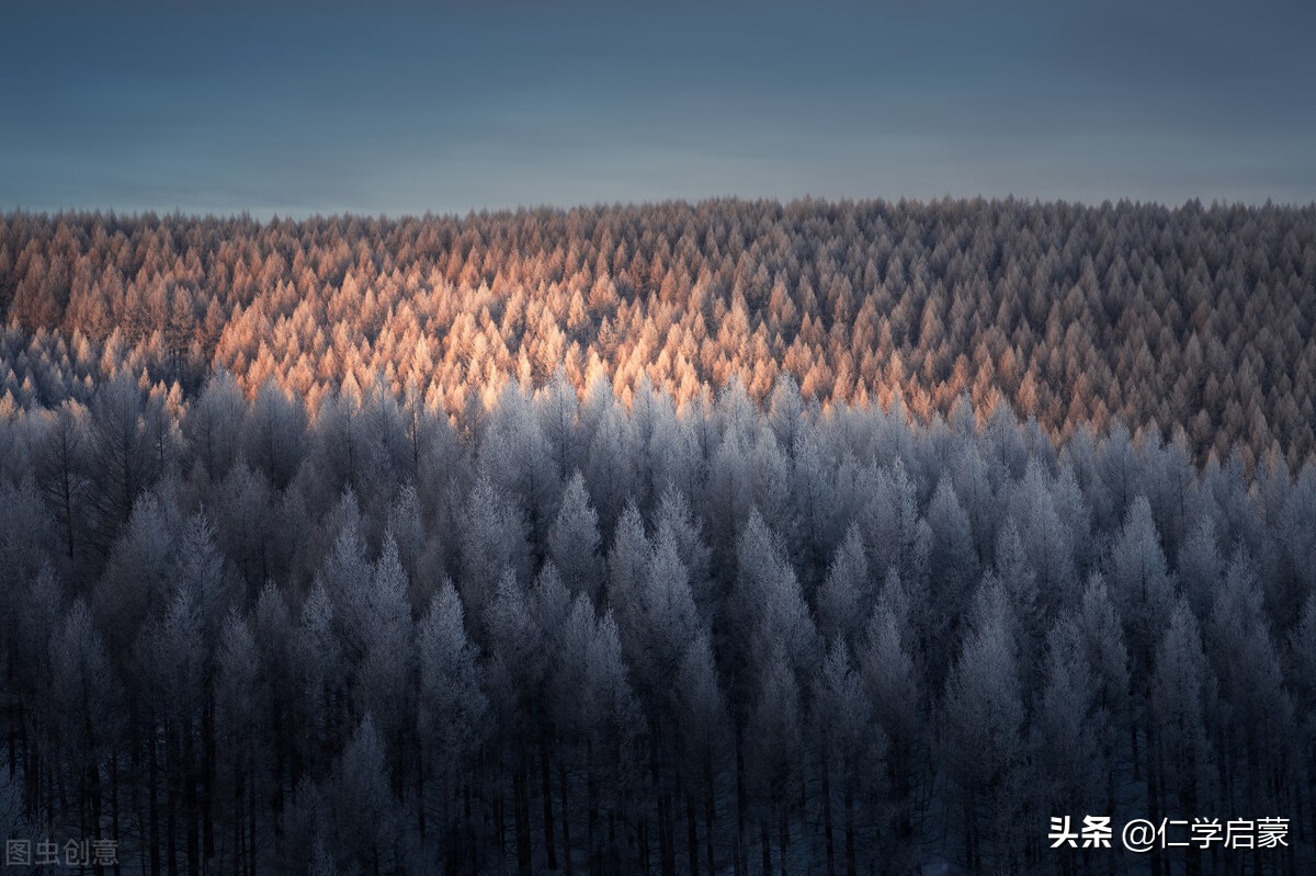 相异之仁：敬、忠、恕、无怨（12.2）