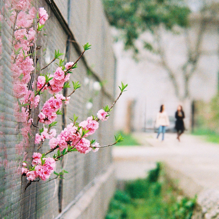 关于二手设备的问题,关于二手东西