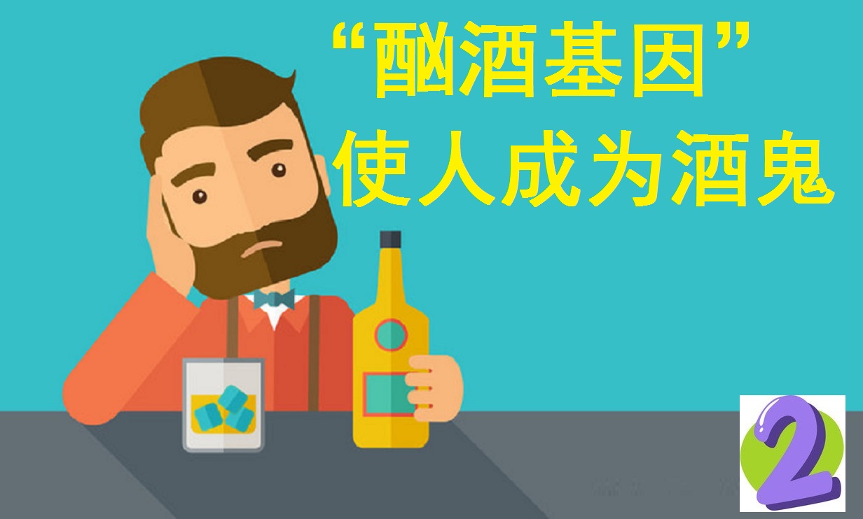 基因是人类的“酒司令”