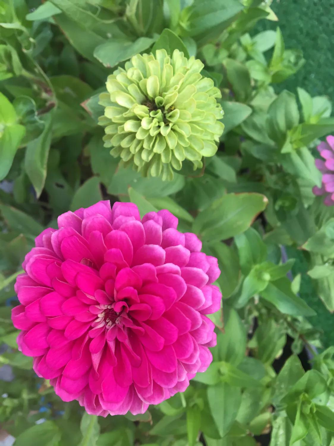 厦门曾厝垵民宿招聘前台,厦门曾厝垵民宿怎么样