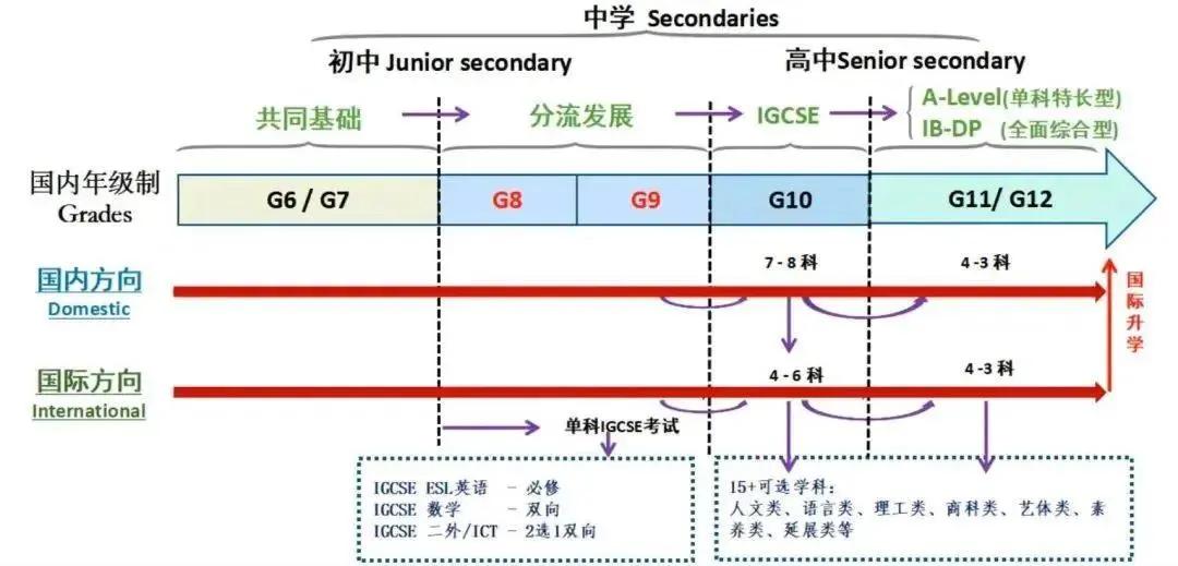 一文带你分清“协和系”大家族，孩子到底适合上哪所“协和”？