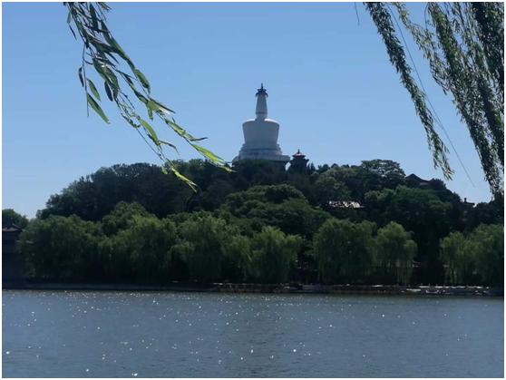 告诉你什么叫做真功夫,让你看看什么叫功夫