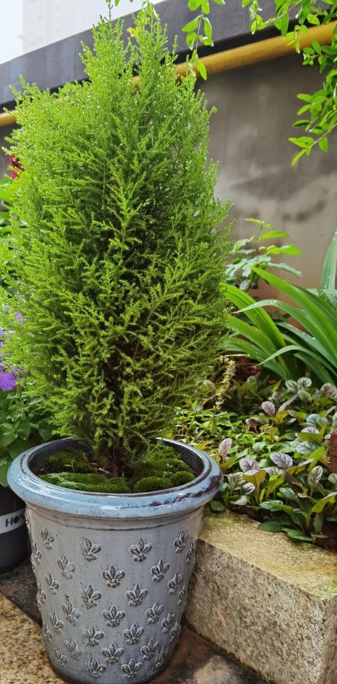 第七届园丁奖,第六届园丁奖奖励