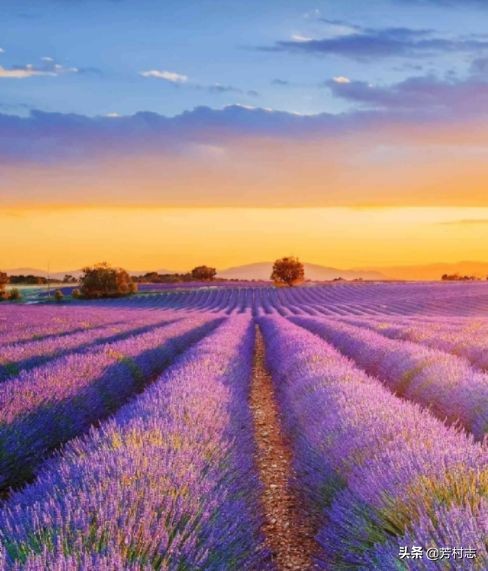 遇见·预见|开眼界!大广州下冰雹;国内油价将4连涨