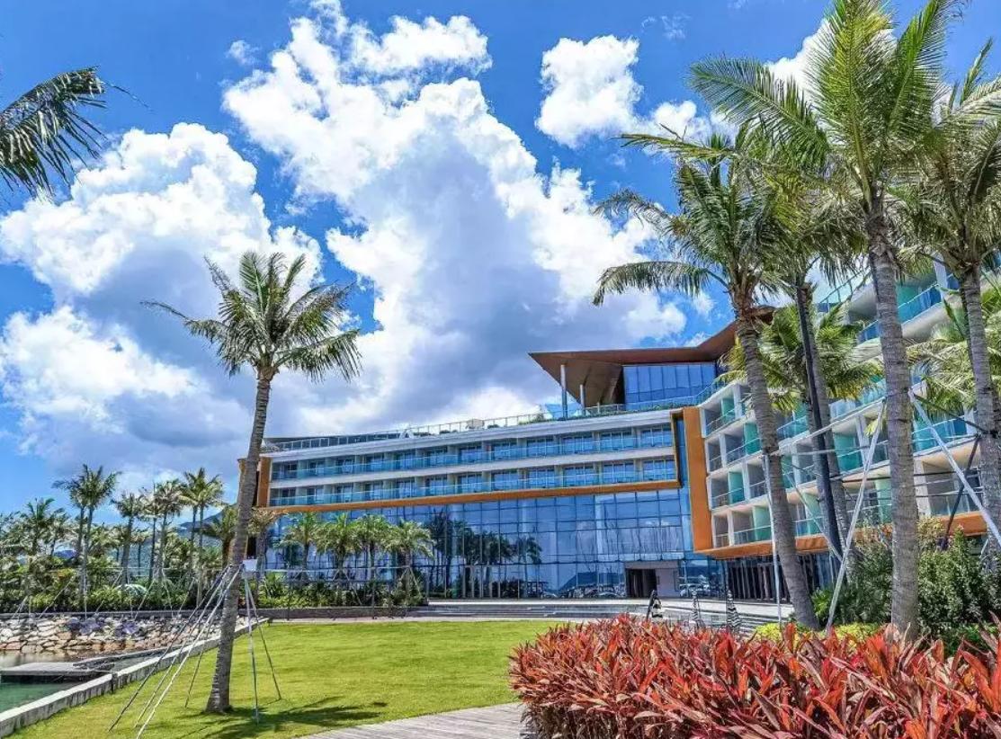 发现深圳红树林之美,发现小众风景点