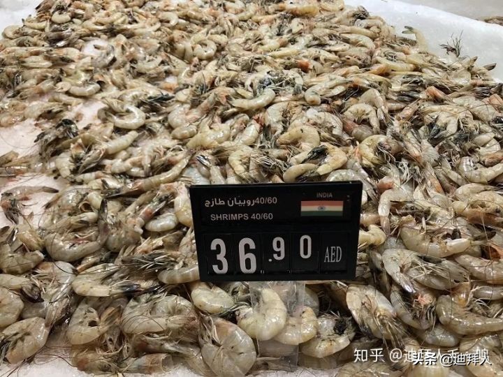 迪拜物价有多高,迪拜物价咋样的