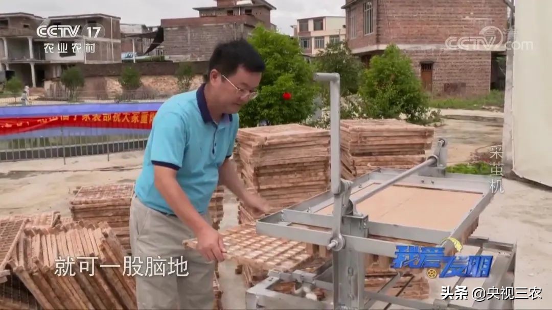 高效蚕茧脱茧机,养蚕取茧机器多少钱一台