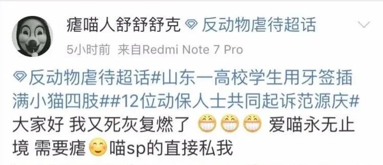 什么叫虐猫产业链,狩猎者猎杀雄狮