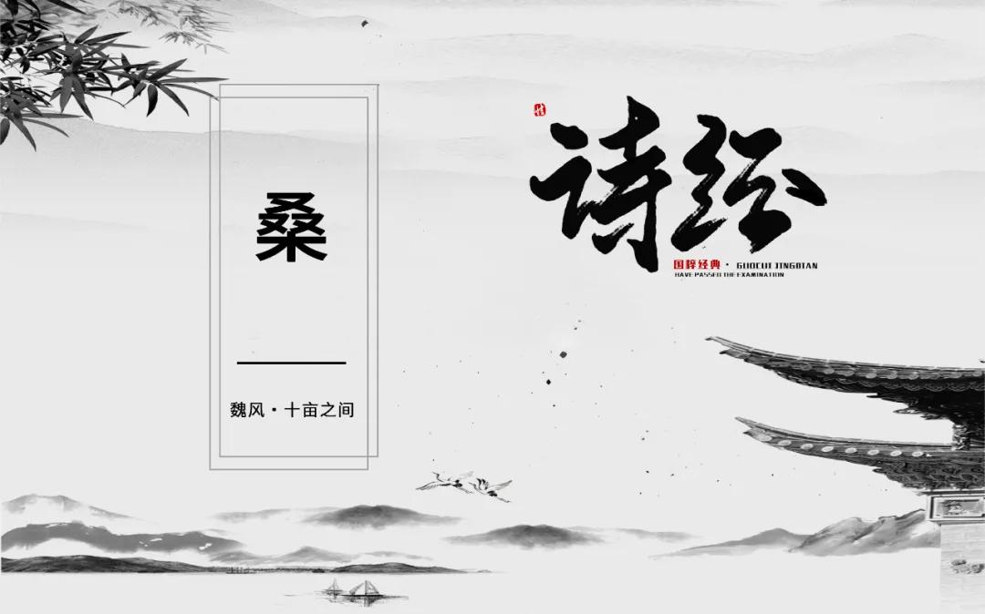 在诗经中走出来的中药,桑葚有没有出现在诗经里