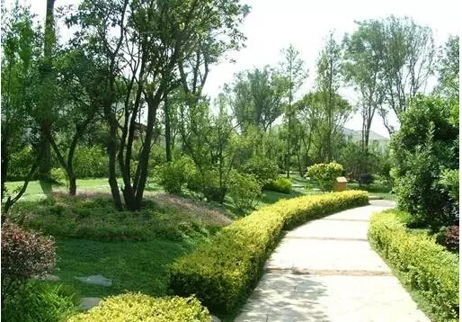 土建工程施工步骤和施工顺序,土建工程师要把握的关键点有哪些