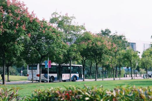 高考中南大学,高考结束来看看学生们的分数