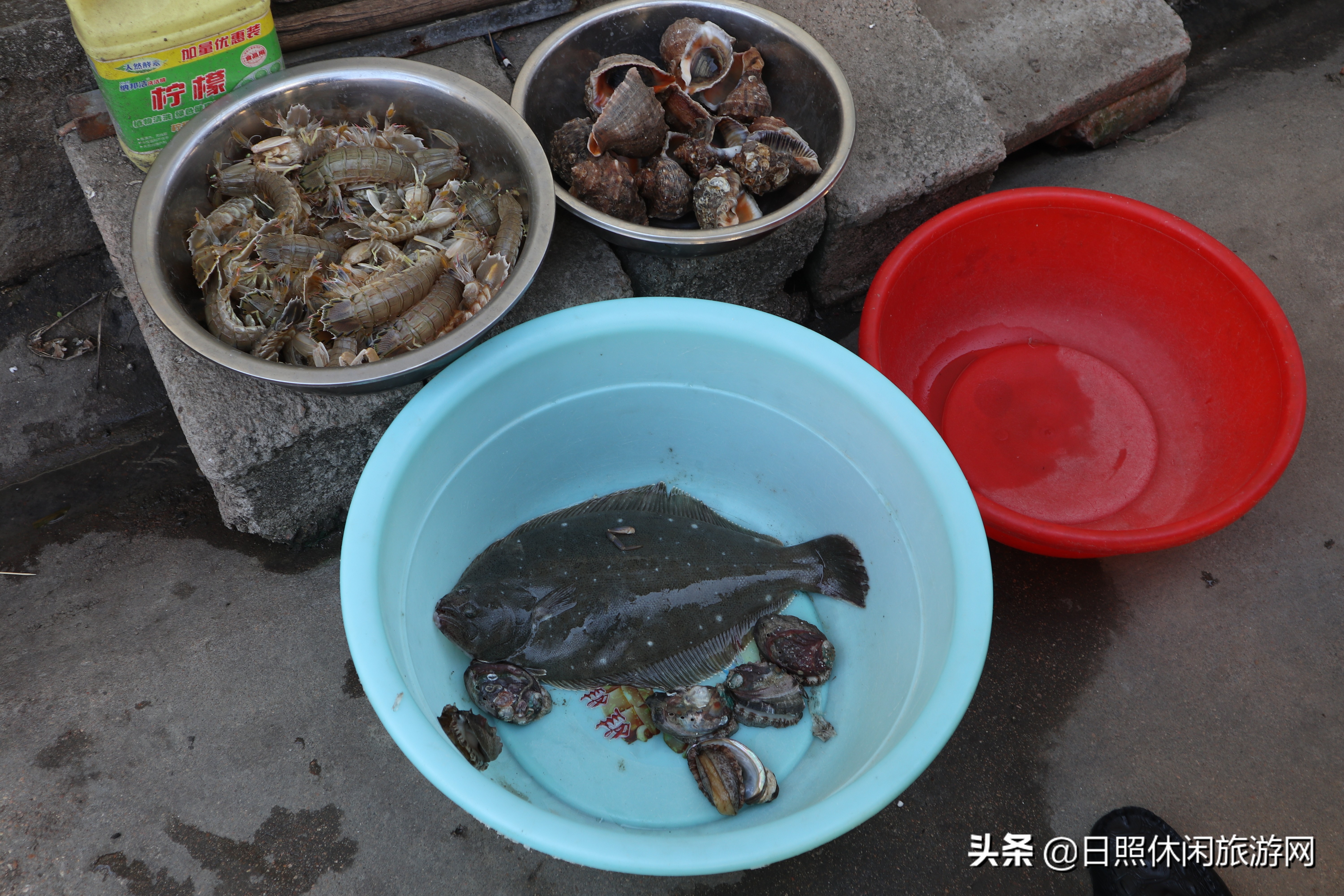 日照赶海之旅,日照冬季赶海旅游去哪里最好