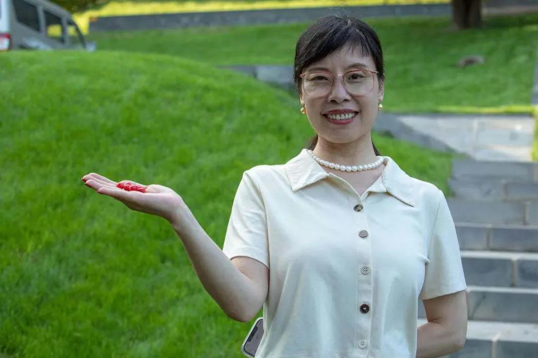 一个小城的夏天,夏天的城市处处都很治愈