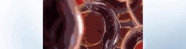 京东众筹智能t恤再也不怕脏,京东攻克卫衣蓄能技术