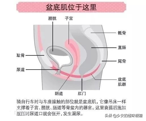 束腰带——变美绝招，还是催命符篆？求求姐妹们快扔掉它吧