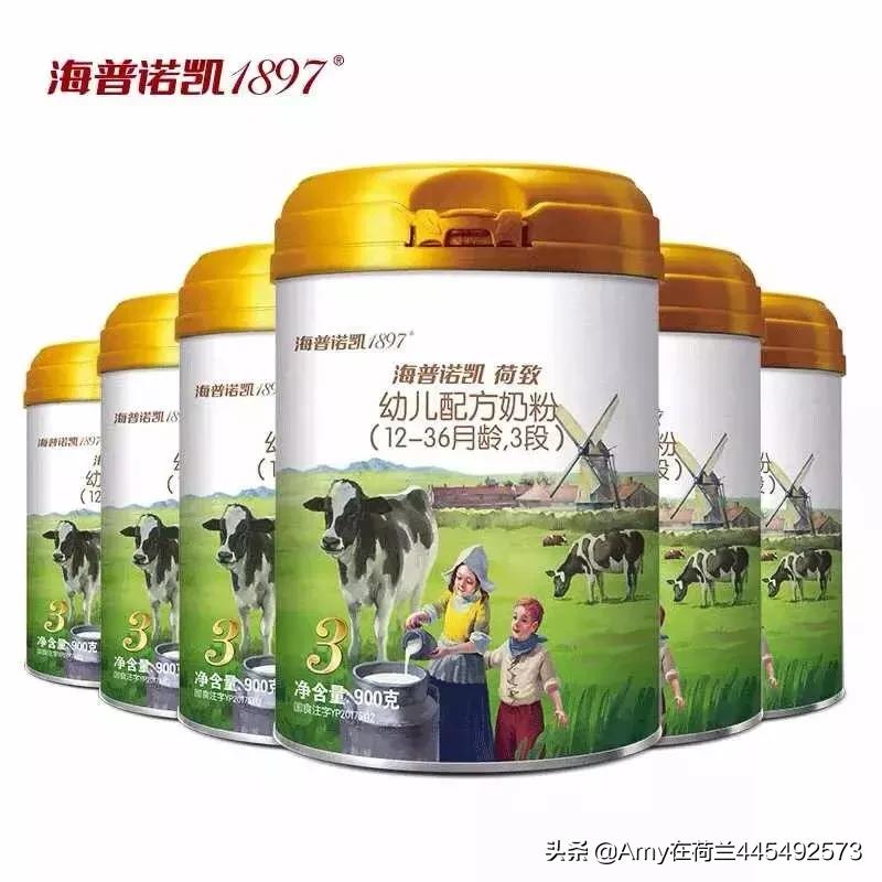 amy荷兰,amy澳洲代购