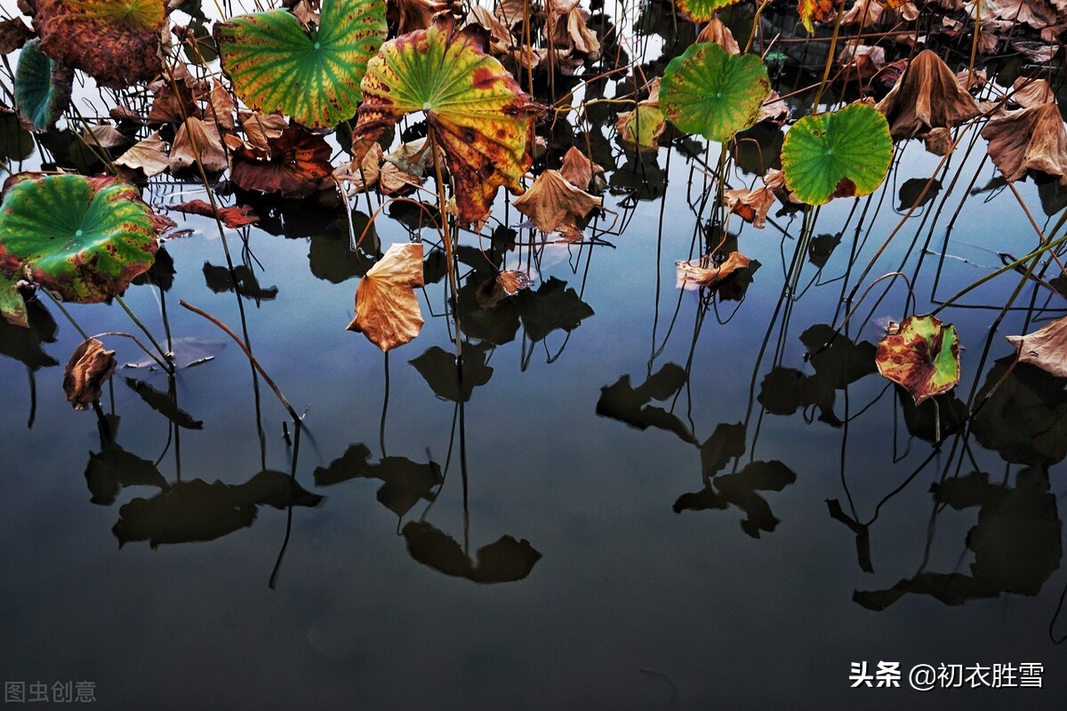 李商隐10首经典诗词鉴赏,李商隐最美的十首诗解读