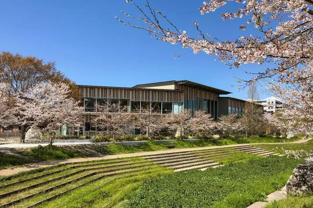 隈研吾最新作品集8款,隈研吾沉寂的十年