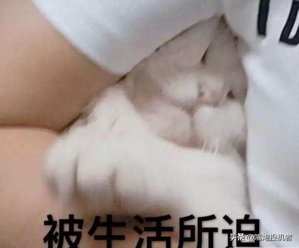 闲鱼干货技巧大全,闲鱼最常见的套路解密